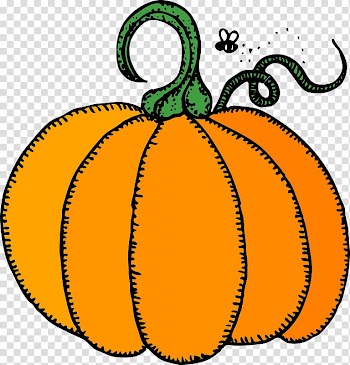 Pumpkin Cucurbita pepo , pumpkin transparent background PNG clipart
