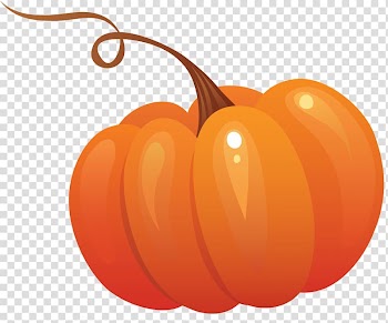 Pumpkin Cucurbita pepo , pumpkin transparent background PNG clipart