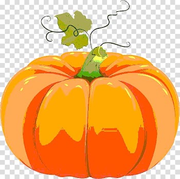 Pumpkin Cucurbita pepo , Zk transparent background PNG clipart