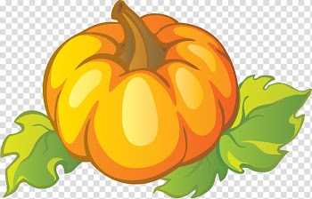 Pumpkin Cucurbita Vegetable Gourd , Halloween transparent background PNG clipart