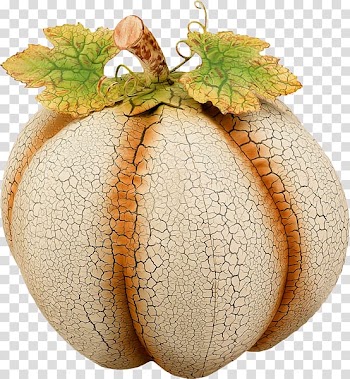 Pumpkin Cucurbita Winter squash, pumpkin transparent background PNG clipart