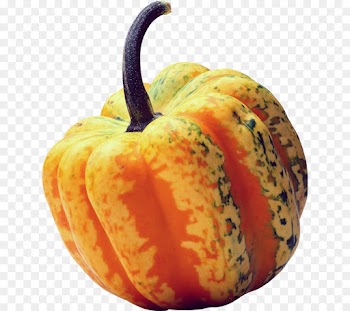 Pumpkin, Cucurbits, Gourd, Calabaza, Vegetable PNG