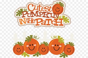 Pumpkin Cuteness Jack-o-lantern Halloween Clip art - Cute Pumpkin Transparent PNG 