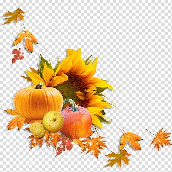 Pumpkin Digital scrapbooking Drawing , pumpkin transparent background PNG clipart
