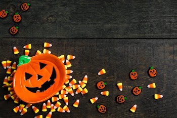 Pumpkin Dish & Treats