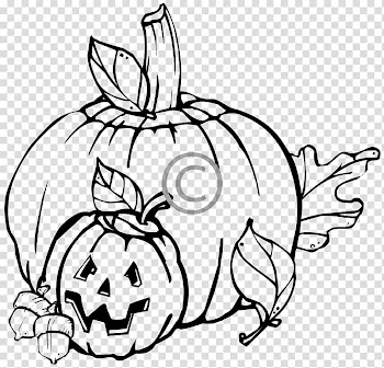 Pumpkin Drawing Line art , pumpkin transparent background PNG clipart