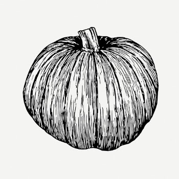 Pumpkin drawing, plant vintage illustration | Free PSD - rawpixel
