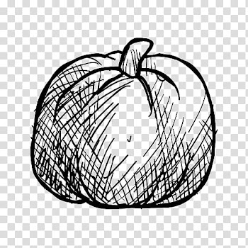 Pumpkin Drawing Vegetable, Pumpkin painted artwork transparent background PNG clipart