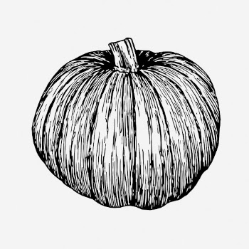 Pumpkin drawing, vintage plant illustration. | Free Photo - rawpixel