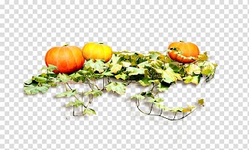 Pumpkin Food, pumpkin transparent background PNG clipart