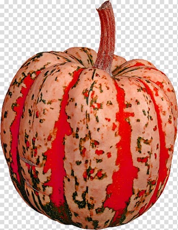 Pumpkin Food Winter squash Vegetable, Pumpkin Art transparent background PNG clipart