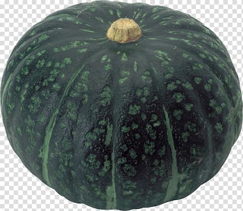 Pumpkin Fruit Squash, Pumpkin transparent background PNG clipart