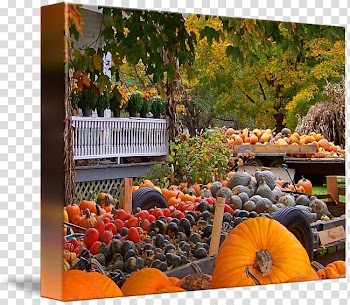Pumpkin Gallery wrap Gourd Canvas Fruit, autumn harvest transparent background PNG clipart