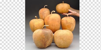 Pumpkin Gourd Calabaza Cucurbita Food, pumpkin transparent background PNG clipart