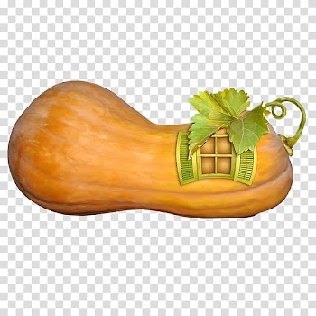 Pumpkin Gourd Calabaza, pumpkin transparent background PNG clipart