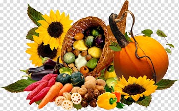 Pumpkin Gourd Calabaza Winter squash, pumpkin transparent background PNG clipart