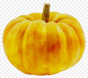 Pumpkin Gourd Calabaza Winter squash Vegetarian cuisine -  
