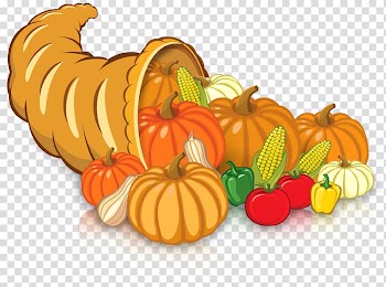 Pumpkin Gourd Calabaza Winter squash Vegetarian cuisine, pumpkin transparent background PNG clipart