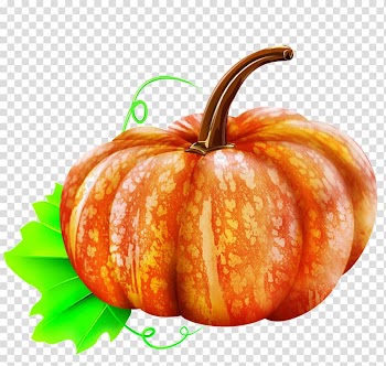 Pumpkin Gourd Vegetable Winter squash, pumpkin transparent background PNG clipart