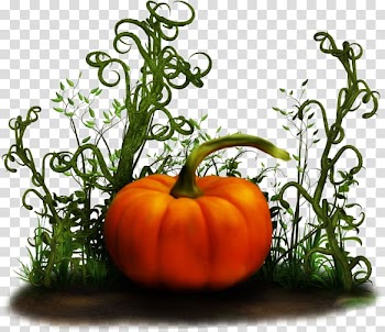 Pumpkin Gourd Winter squash, Big pumpkin painted gold transparent background PNG clipart