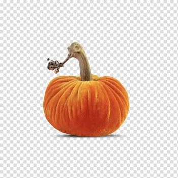 Pumpkin Gourd Winter squash Calabaza Cucurbita, carrots transparent background PNG clipart