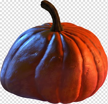 Pumpkin Gourd Winter squash Calabaza Cucurbita, pumpkin transparent background PNG clipart
