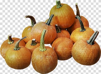 Pumpkin Gourd Winter squash Calabaza, pumpkin transparent background PNG clipart