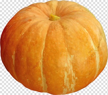 Pumpkin Gourd Winter squash Vegetarian cuisine Patty pan, pumpkin transparent background PNG clipart