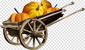 Pumpkin Halloween Cucurbita , pumpkin transparent background PNG clipart