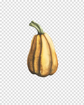 Pumpkin Halloween Jack-o-lantern Watercolor painting, Halloween pumpkin transparent background PNG clipart