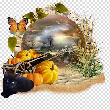 Pumpkin Halloween .net, Crea transparent background PNG clipart