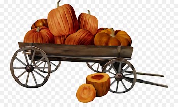 Pumpkin Halloween - Pumpkin harvest 