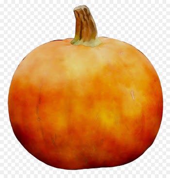 Pumpkin Herbein's Garden Center Inc Emmaus Calabaza Gourd -  