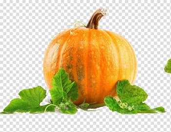 Pumpkin illustration, Pumpkin pie Health Pumpkin seed Nutrition, Yellow pumpkin vine leaves the physical map transparent background PNG clipart