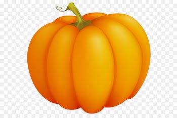 Pumpkin Jack-o'-lantern Clip art - Pumpkin Large Clipart PNG Image 