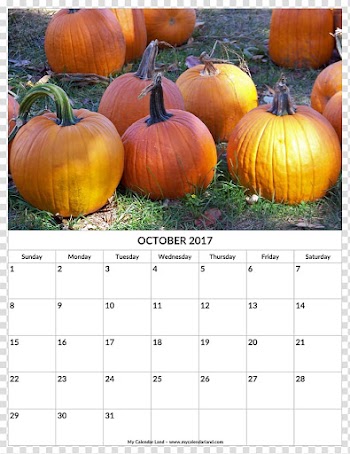 Pumpkin Jack-o'-lantern Cucurbita pepo Halloween Autumn, the beginning of autumn transparent background PNG clipart