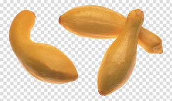 Pumpkin Jack-o'-lantern Vegetable Cucurbita Gourd, Three fresh pumpkin transparent background PNG clipart