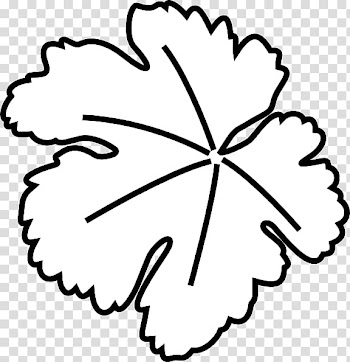 Pumpkin Leaf Vine , Pumpkin Leaves transparent background PNG clipart