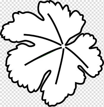 Pumpkin Leaf Vine , Shape shapes leaf leaves autumn Tags handdrawn transparent background PNG clipart