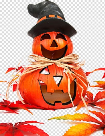 Pumpkin man transparent background PNG clipart