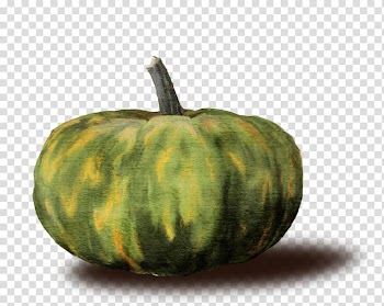 Pumpkin May Gourd Calabaza Winter squash, Verdura transparent background PNG clipart