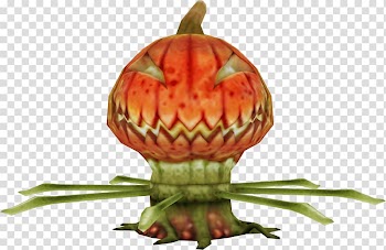 Pumpkin MediEvil: Resurrection Calabaza Winter squash Gourd, pumpkin transparent background PNG clipart