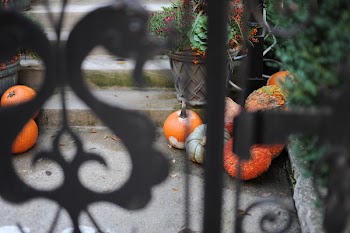 Pumpkin on Gray Cement Floor