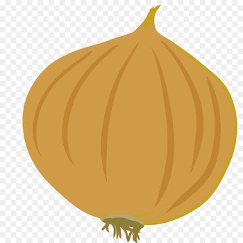 Pumpkin Onion Calabaza Vegetable Winter squash - pumpkin 