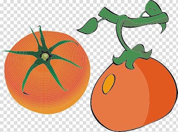 Pumpkin Orange Auglis Cartoon, Two tomatoes transparent background PNG clipart