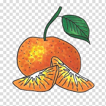 Pumpkin Orange Chinese New Year Chinese calendar , yu yuan transparent background PNG clipart