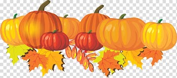 Pumpkin pie Autumn Cucurbita pepo , Thanksgiving Pumpkin transparent background PNG clipart