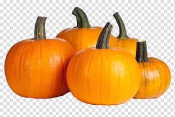 Pumpkin pie Autumn Vegetable Jack-o'-lantern, pumpkin transparent background PNG clipart