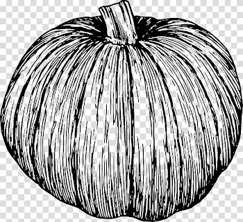 Pumpkin pie Black and white Vegetable , Pumpking Black transparent background PNG clipart