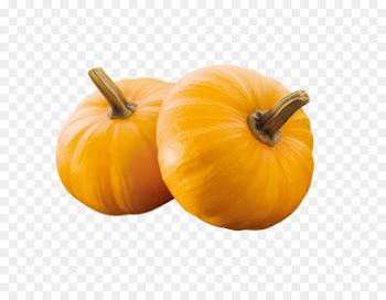 Pumpkin pie Calabaza Gourd Winter squash - pumpkin 